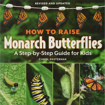 How to Raise Monarch Butterflies: A Step-by-Step Guide for Kids by Carol Pasternak