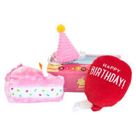 ZippyPaws Birthday Girl Box