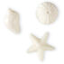 Cape Shore White Assorted Shells Soap