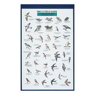 Mac's Field Guides: Northeast Park & Backyard Birds by Craig MacGowan