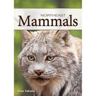 Mammals of the Northeast Playing Cards by Stan Tekiela