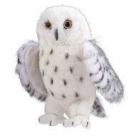 Douglas Company Snowy Owl - Legend