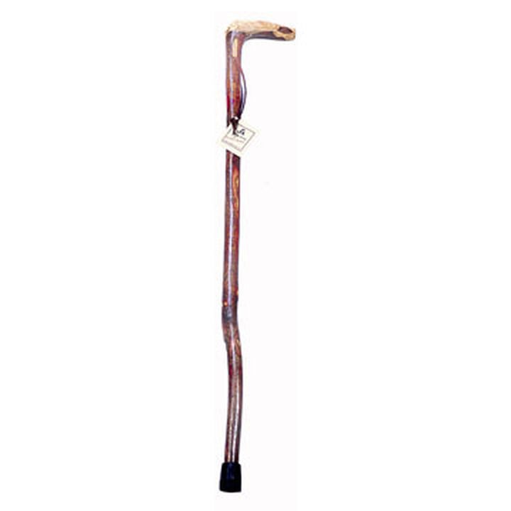 Is It a Stick or a Walking Stick? - Thanksgiving Point