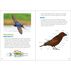 Backyard Birding for Kids: An Introduction to Ornithology by Erika Zambello