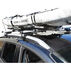 Malone Auto Racks FoldAway-5 MultiRack Watersport Carrier