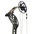 Bear Archery Whitetail MAXX Compound Bow