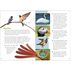 Backyard Birding for Kids: An Introduction to Ornithology by Erika Zambello