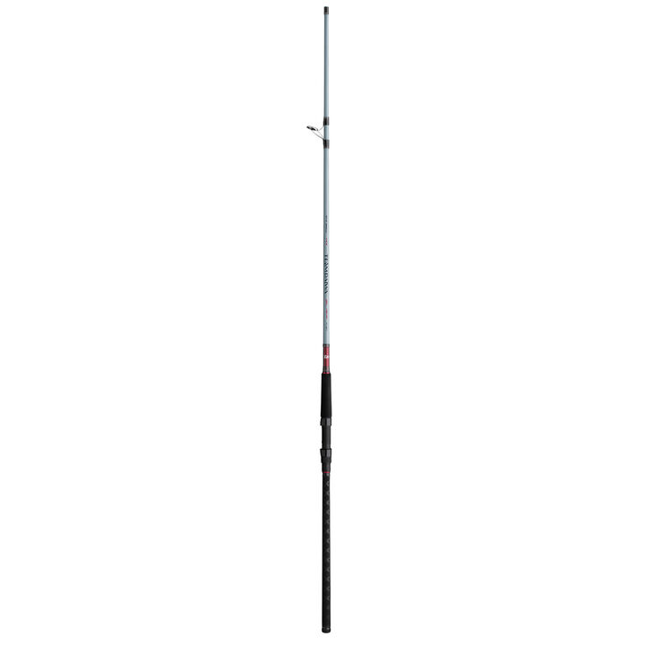 https://www.kitterytradingpost.com/dw/image/v2/BBPP_PRD/on/demandware.static/-/Sites-ktp-master/default/dwde5a7e3f/products/8472-fishing/323-saltwater-conventional-rods/100589515/Team_Daiwa_Surf_Spinning_Rod.jpg?sw=720