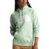 The North Face Women’s Half Dome Pullover Hoodie
