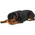 West Paw Design Zogoflex Tux Treat Stuffable Dog Chew Toy
