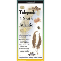Tidepools of the North Atlantic: FoldingGuides