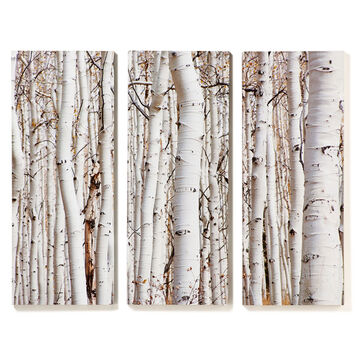 Giftcraft Birch Tree Design Wall Panels