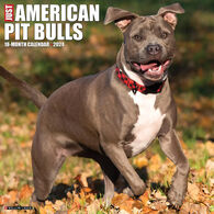 Willow Creek Press Just American Pit Bull Terriers 2024 Wall Calendar