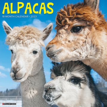 Willow Creek Press Alpacas 2023 Wall Calendar