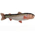 Cabin Critters 17 Plush Rainbow Trout