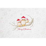 Pumpernickel Press Owl Trio Deluxe Boxed Greeting Cards