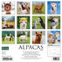 Willow Creek Press Alpacas 2024 Wall Calendar