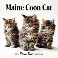 Maine Coon Cat: Down East 2024 Wall Calendar by Editors of Down East