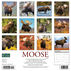 Willow Creek Press Moose 2024 Wall Calendar