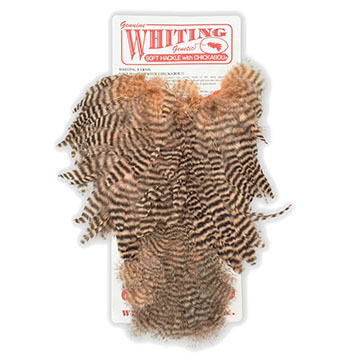 Whiting Coq de Leon Soft Hackle w/ Chickabou Fly Tying Material