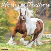 Willow Creek Press Horse Feathers 2023 Wall Calendar