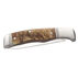 Browning Joint Venture Sheep Horn Folding Knife