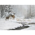 LPG Greetings Deer and Stream in Winter Boxed Christmas Cards