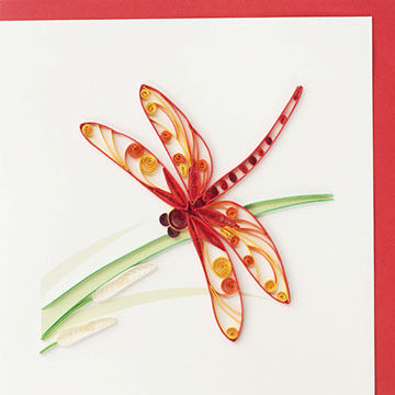 Quilling Card Dragonfly Greeting Card