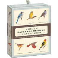 Sibley Backyard Birding Flashcards: 100 Common Birds Of Eastern And Western North America by David Allen Sibley