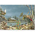 Cape Shore Downeast Christmas Boxed Christmas Cards