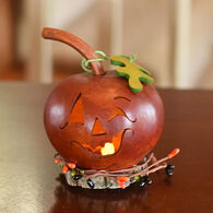 Meadowbrooke Gourds Fredrick Miniature Jack-O'-Lantern Gourd