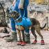 Kurgo RSG Townie Dog Harness