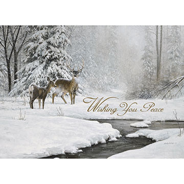 LPG Greetings Deer Couple Near A Stream Boxed Christmas Cards