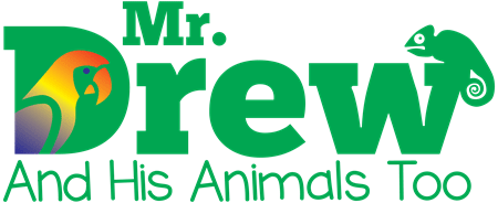 Mr. Drew logo