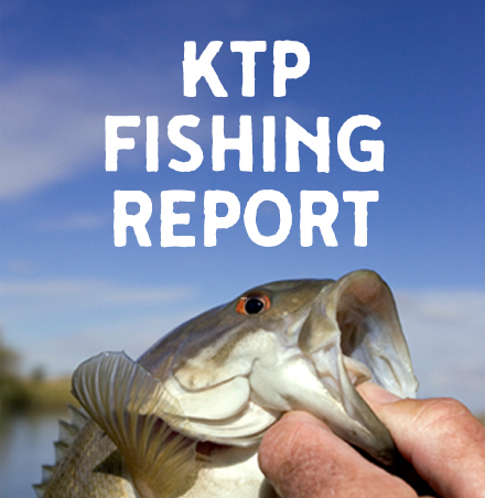 Weekly Fishing Report